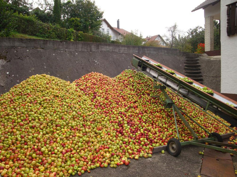 Äpfel
